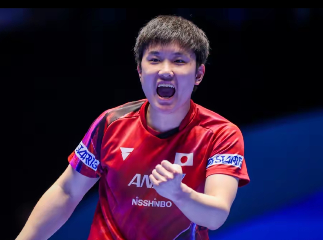 都会影响投 都会影响投